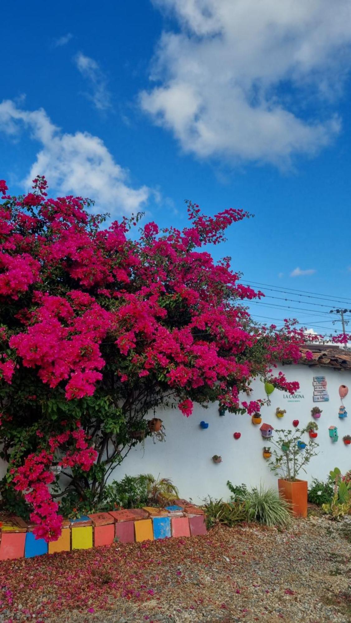 La Casona Espacio Bonito Zapatoca Ngoại thất bức ảnh
