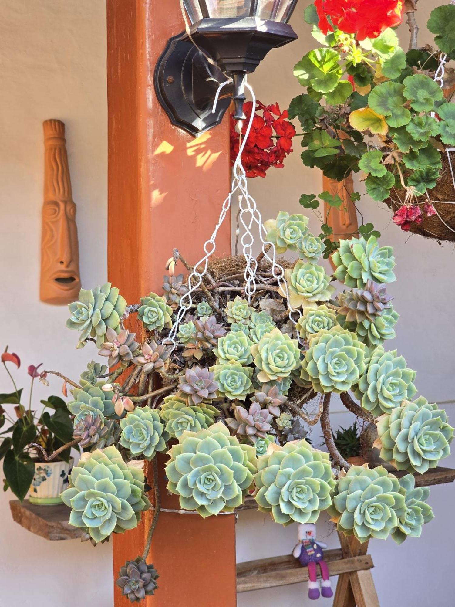 La Casona Espacio Bonito Zapatoca Ngoại thất bức ảnh